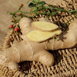 Zencefil